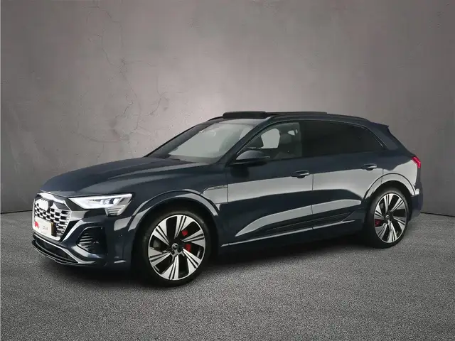 Audi Q8 e-tron 55 quattro S Edition 115 kWh | Trekhaak | Tour | P