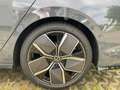 Volkswagen Golf Variant Golf VIII Variant 2.0 TSI DSG 4MOTION R-Line AHK Grau - thumbnail 12