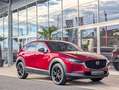 Mazda CX-30 2.5 G140 6AT HOMURA Rot - thumbnail 9