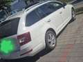 Skoda Octavia Octavia Combi 1,6 Ambition TDI 4x4 Green tec Ambition Weiß - thumbnail 4