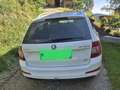 Skoda Octavia Octavia Combi 1,6 Ambition TDI 4x4 Green tec Ambition Weiß - thumbnail 3