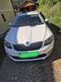 Skoda Octavia Octavia Combi 1,6 Ambition TDI 4x4 Green tec Ambition Weiß - thumbnail 1