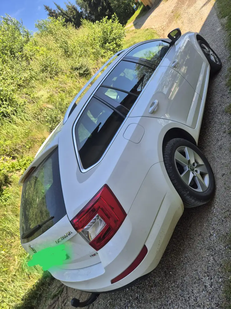 Skoda Octavia Octavia Combi 1,6 Ambition TDI 4x4 Green tec Ambition Weiß - 2
