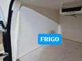 Citroen Berlingo 1.5hdi 100cv PL FRIGO Bianco - thumbnail 14