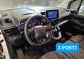 Citroen Berlingo 1.5hdi 100cv PL FRIGO Bianco - thumbnail 13