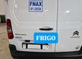 Citroen Berlingo 1.5hdi 100cv PL FRIGO Bianco - thumbnail 4