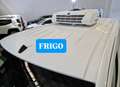 Citroen Berlingo 1.5hdi 100cv PL FRIGO Bianco - thumbnail 6