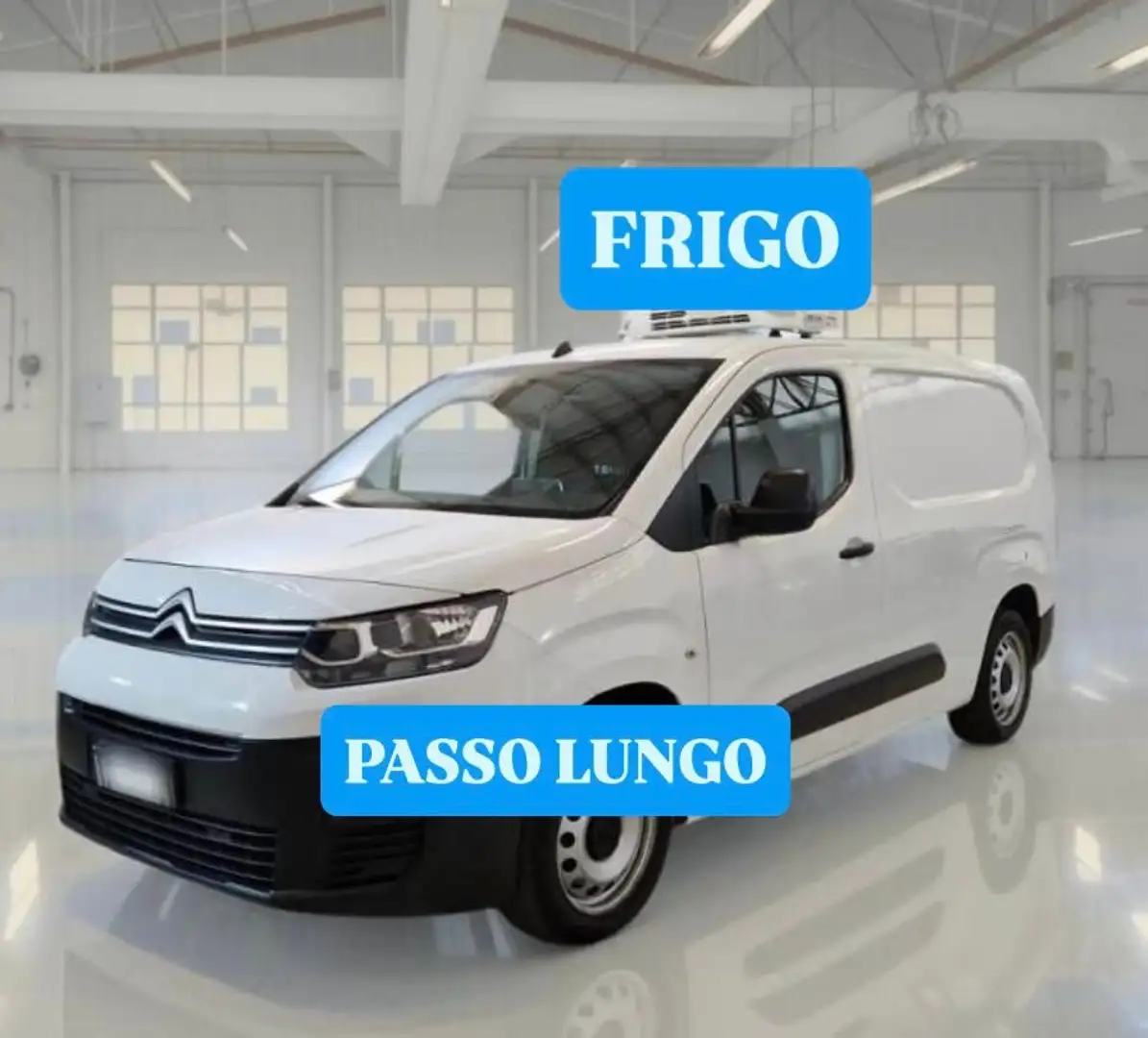 Citroen Berlingo 1.5hdi 100cv PL FRIGO Bianco - 1