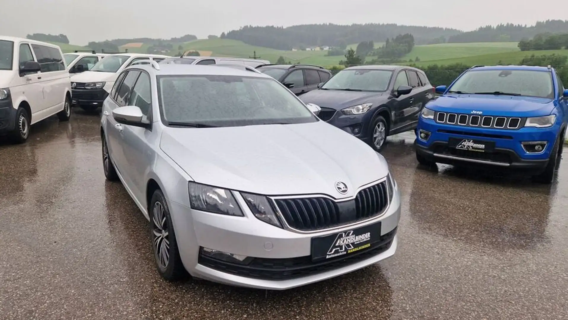 Skoda Octavia Kombi TDI ''1.Besitz'' Zilver - 2
