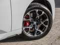 BMW X3 M 50i Pro xDrive AHK+PANO+STANDHZG+360°KAM Gris - thumbnail 5