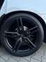 Dodge Charger R/T Blanco - thumbnail 10