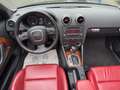 Audi A3 Cabriolet 1.8, Leder, PDC, DSG Gris - thumbnail 7