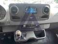 Mercedes-Benz Sprinter III 311 FWD 311 2.1 cdi F 39/33 fwd H2 my20 Blu/Azzurro - thumbnail 11