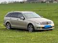 Mercedes-Benz C 350 C 350 T Avantgarde BlueEfficiency CDI Aut. Avantgarde Gold - thumbnail 9