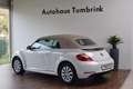 Volkswagen Beetle New Cabriolet Design Windschott Climatronic SHZ Weiß - thumbnail 8