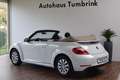 Volkswagen Beetle New Cabriolet Design Windschott Climatronic SHZ Weiß - thumbnail 3