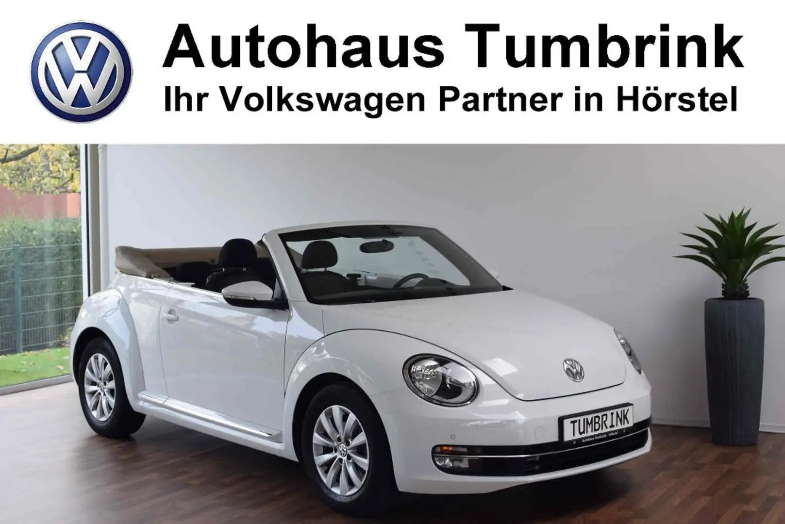 Volkswagen Beetle New Cabriolet Design Windschott Climatronic SHZ Weiß - 1