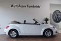 Volkswagen Beetle New Cabriolet Design Windschott Climatronic SHZ Weiß - thumbnail 2