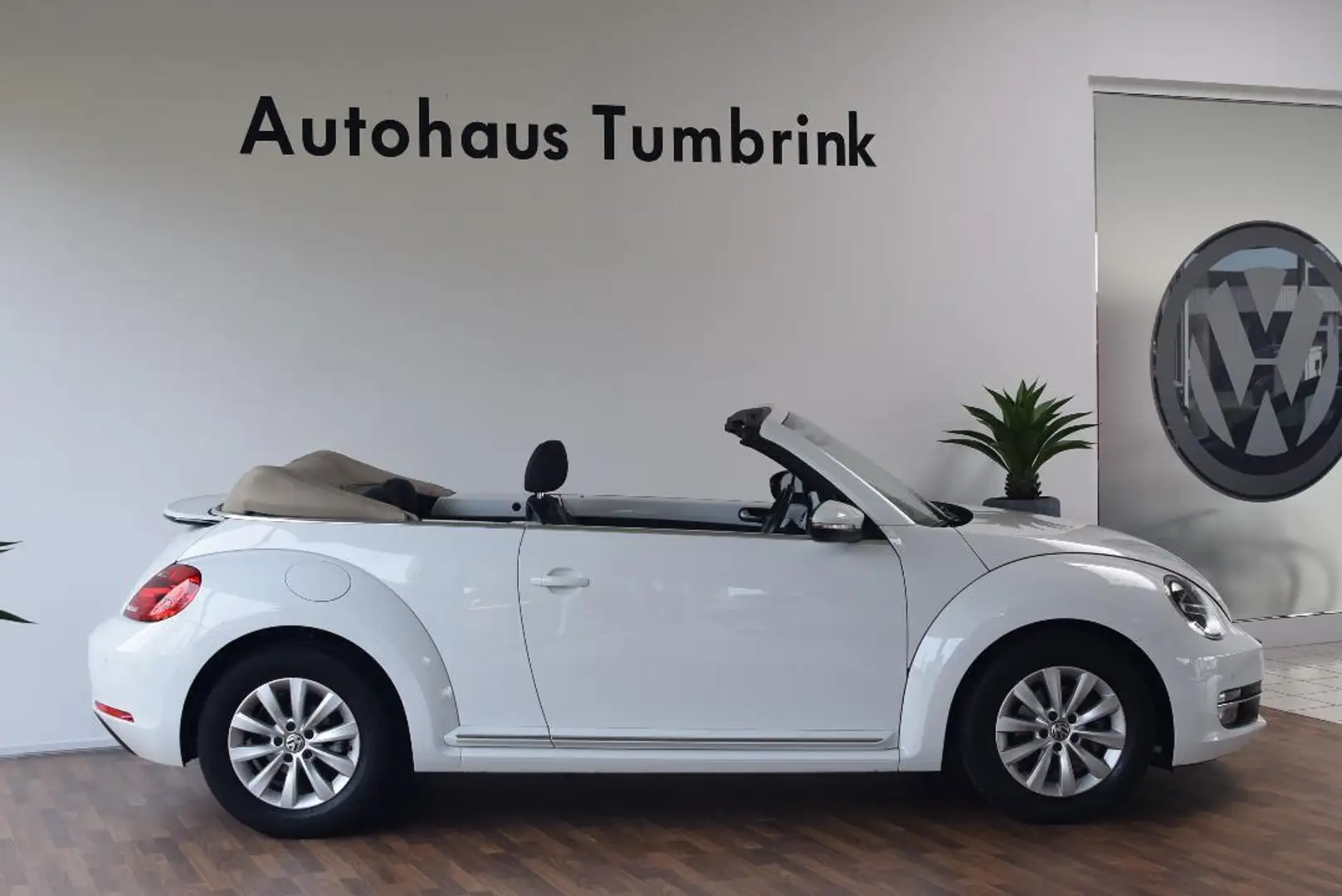 Volkswagen Beetle New Cabriolet Design Windschott Climatronic SHZ Weiß - 2