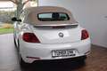 Volkswagen Beetle New Cabriolet Design Windschott Climatronic SHZ Weiß - thumbnail 10