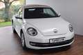 Volkswagen Beetle New Cabriolet Design Windschott Climatronic SHZ Weiß - thumbnail 6