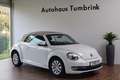 Volkswagen Beetle New Cabriolet Design Windschott Climatronic SHZ Weiß - thumbnail 4