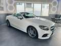 Mercedes-Benz E 300 Cabrio*LEDER*LED*KAMERA*TOTWINKEL*MEMORY* Alb - thumbnail 8