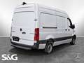 Mercedes-Benz Sprinter 317 CDI Kasten L2H2 KAMERA 360° SITZHZ. Weiß - thumbnail 4