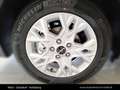 Kia Ceed SW / cee'd SW CEEDSW/TITAN/1.0 TGDI/MT6/100/P1 Schwarz - thumbnail 13