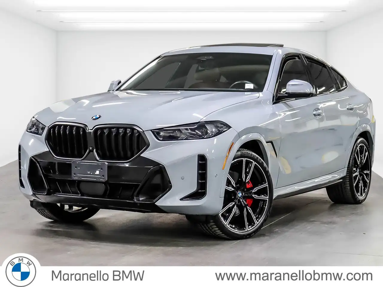 2024 BMW X6