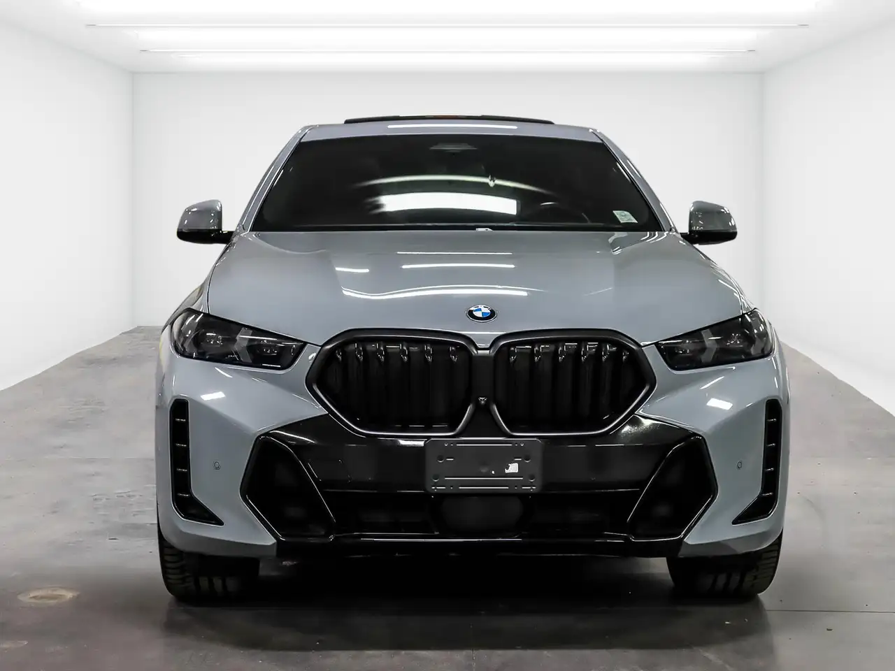 BMW X6 photo BMW X6