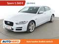 Jaguar XE 25t Portfolio Aut.*NAVI*XENON*TEMPO*360°*PDC*SHZ* Blanc - thumbnail 1