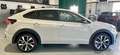 Volkswagen Taigo Taigo 1.0 tsi R-Line 115cv dsg Grigio - thumbnail 6