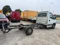 Iveco Daily 35S15/2.3/TEALIO/PATENTE B/2014 Bianco - thumbnail 4