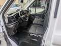 Ford Transit 310 2.0TDCi 130CV PM-TM-DC 6 posti Furgone Trend Alb - thumbnail 7