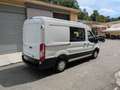 Ford Transit 310 2.0TDCi 130CV PM-TM-DC 6 posti Furgone Trend Alb - thumbnail 4