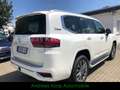 Toyota Land Cruiser 300 VXR 3,5V6 TwinTurbo Model 2025 Weiß - thumbnail 3