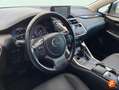 Lexus NX 300 300h Premium 2WD Gris - thumbnail 19