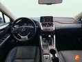 Lexus NX 300 300h Premium 2WD Gris - thumbnail 12
