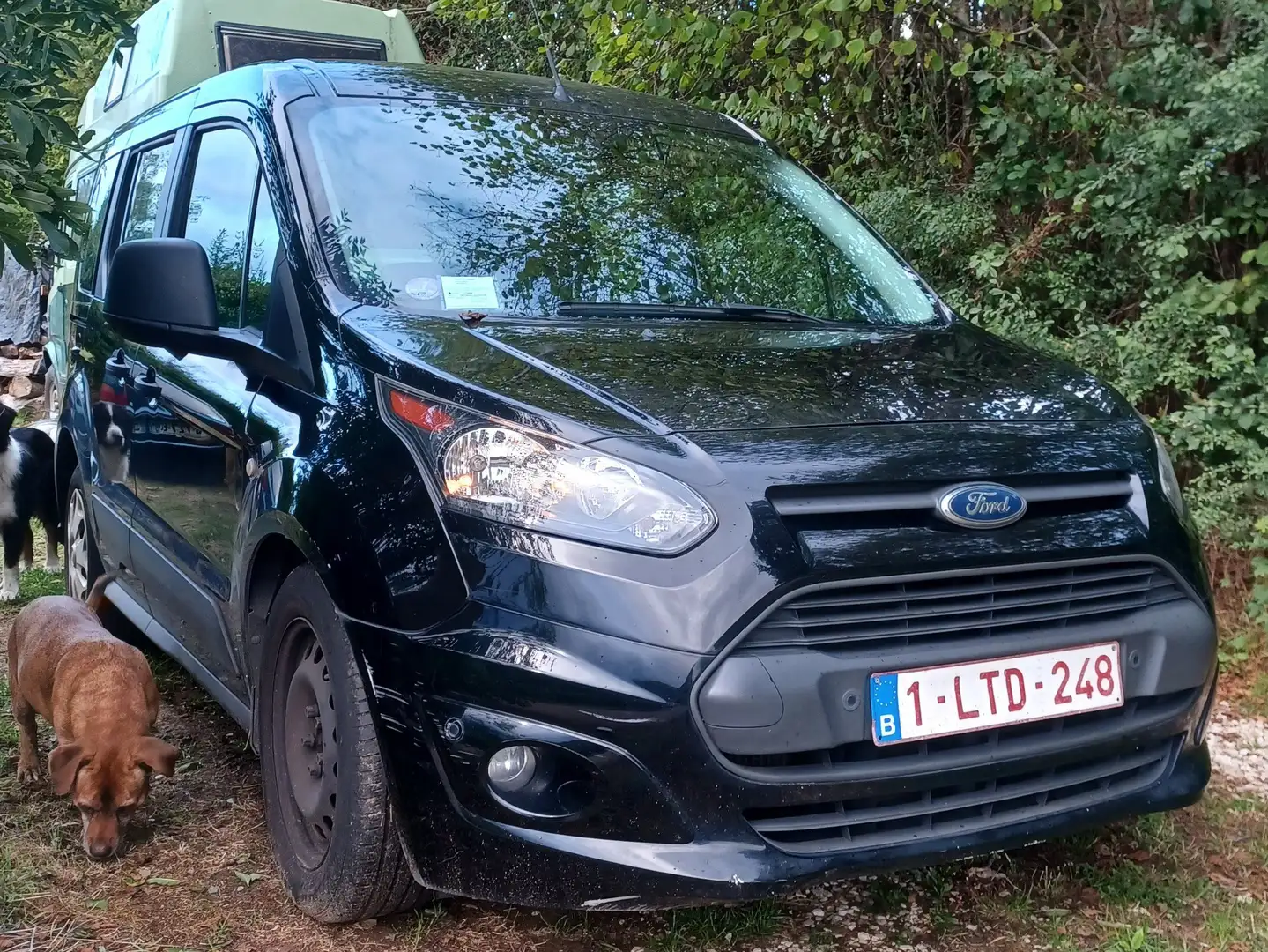 Ford Tourneo Connect 1.0 EcoBoost Ambiente (EU6) Auriu - 1