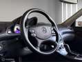 Mercedes-Benz SL 55 AMG |Memory |500PK |Koeling |Leder Blanco - thumbnail 3