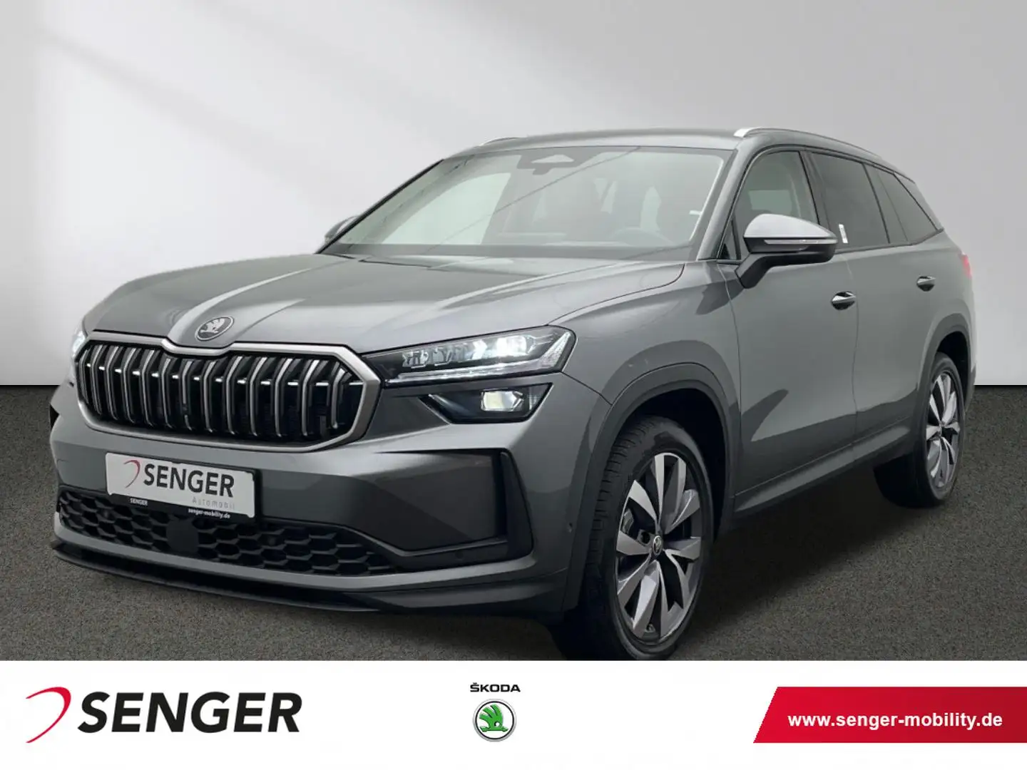 Skoda Kodiaq 2.0 TDI 142kW 4x4 Selection 360° Kamera Grau - 1