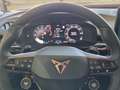 CUPRA Terramar 1.5 e-TSI 150 PS DSG Grau - thumbnail 9