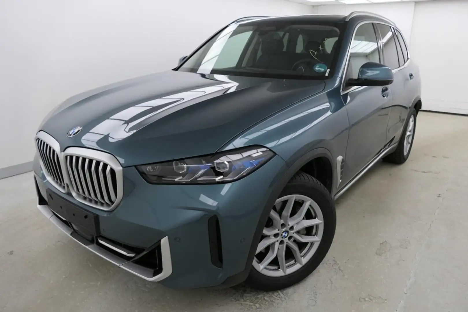 BMW X5 xDrive30d HUD, AHK, ParkAssProf, DrivAssProf, Pano Blau - 1