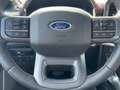 Ford F 150 F-150 LARIAT LAUNCH EDITION 2023 5.0L V8 Flexfuel Schwarz - thumbnail 13