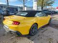 Ford Mustang Convertible GT 5.0 **NEUES MODELL** ACC Yellow - thumbnail 4