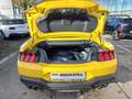 Ford Mustang Convertible GT 5.0 **NEUES MODELL** ACC Giallo - thumbnail 27