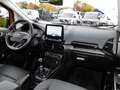 Ford EcoSport Active 1.0 EB Navi+LED+Key-Free+Kamera Klima Navi Gelb - thumbnail 5