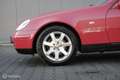 Mercedes-Benz SLK 230 K. | Kompressor | Imperial rot | Lage km stand | r Rood - thumbnail 11