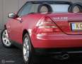 Mercedes-Benz SLK 230 K. | Kompressor | Imperial rot | Lage km stand | r Rood - thumbnail 17